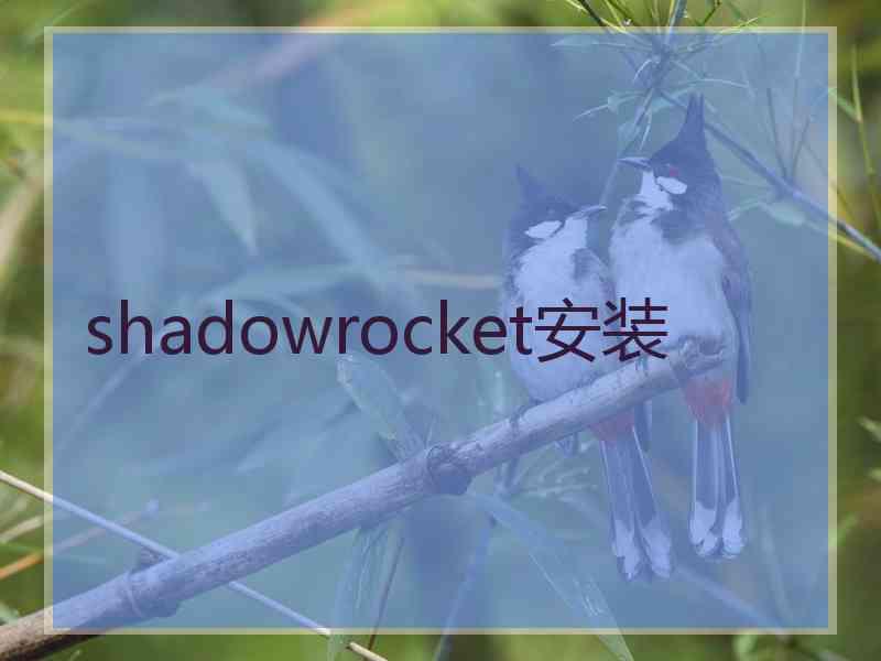 shadowrocket安装