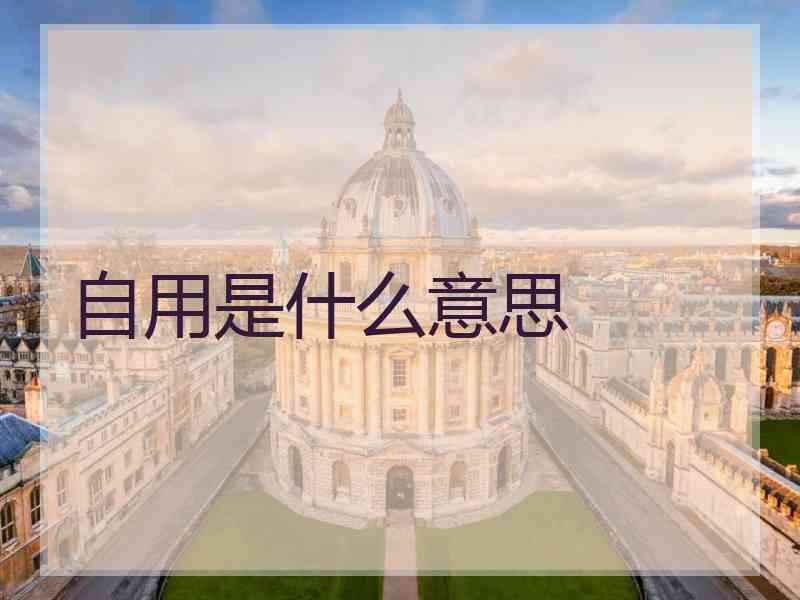 自用是什么意思