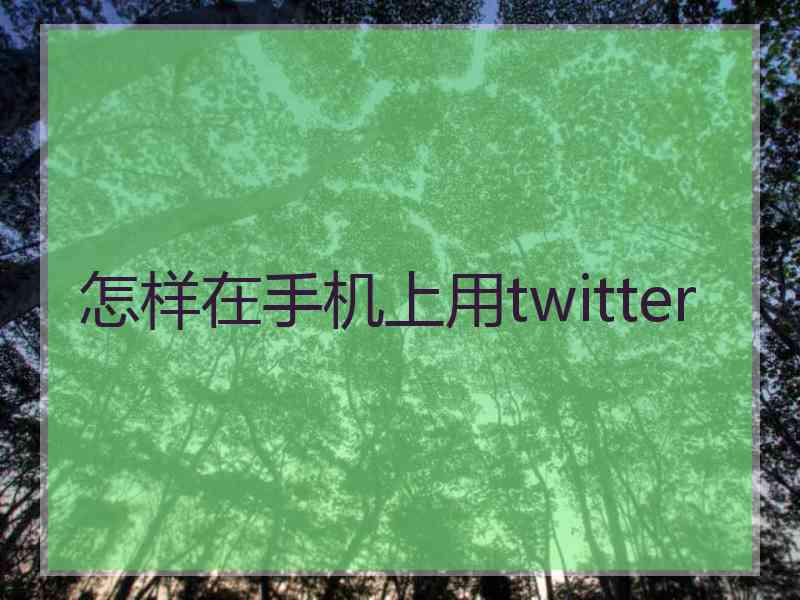 怎样在手机上用twitter