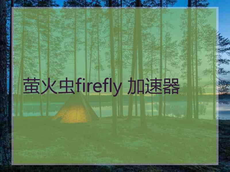 萤火虫firefly 加速器
