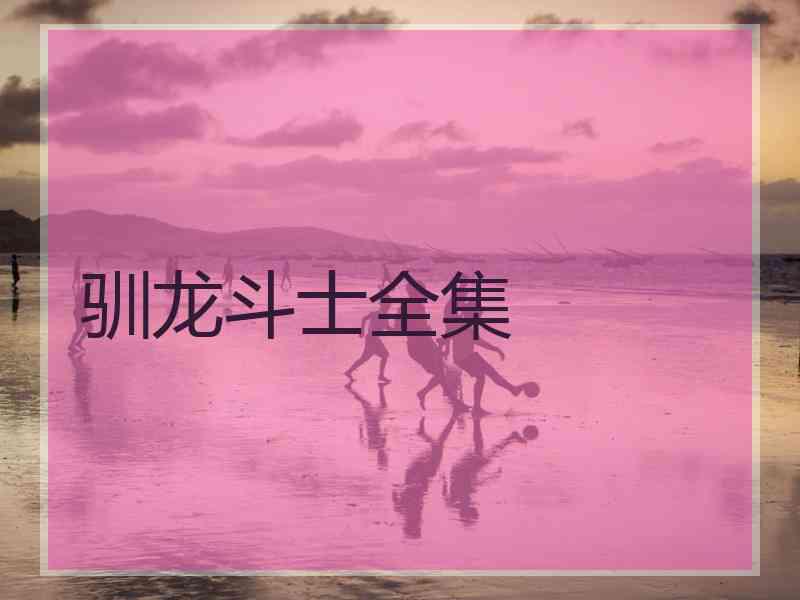 驯龙斗士全集