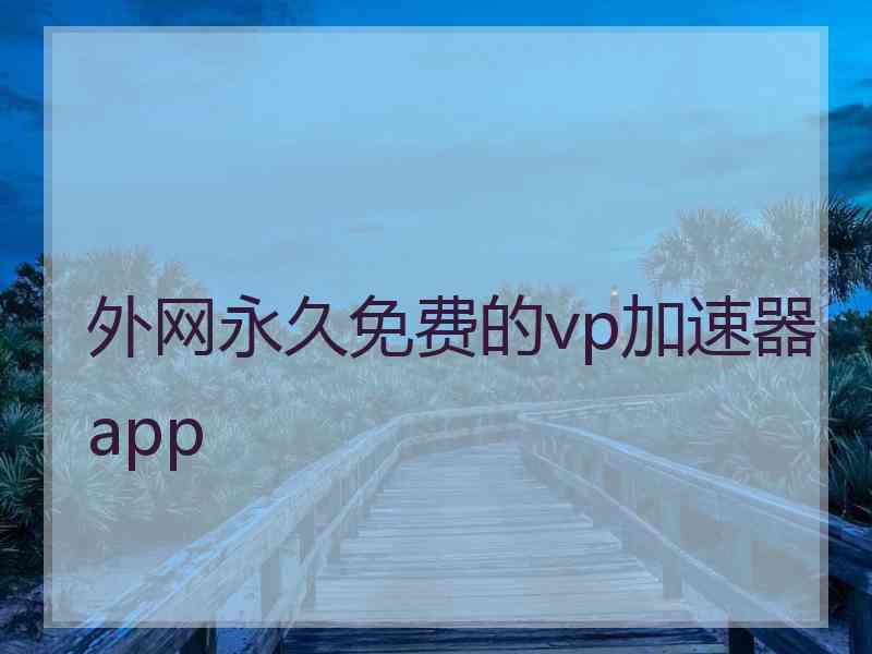 外网永久免费的vp加速器app