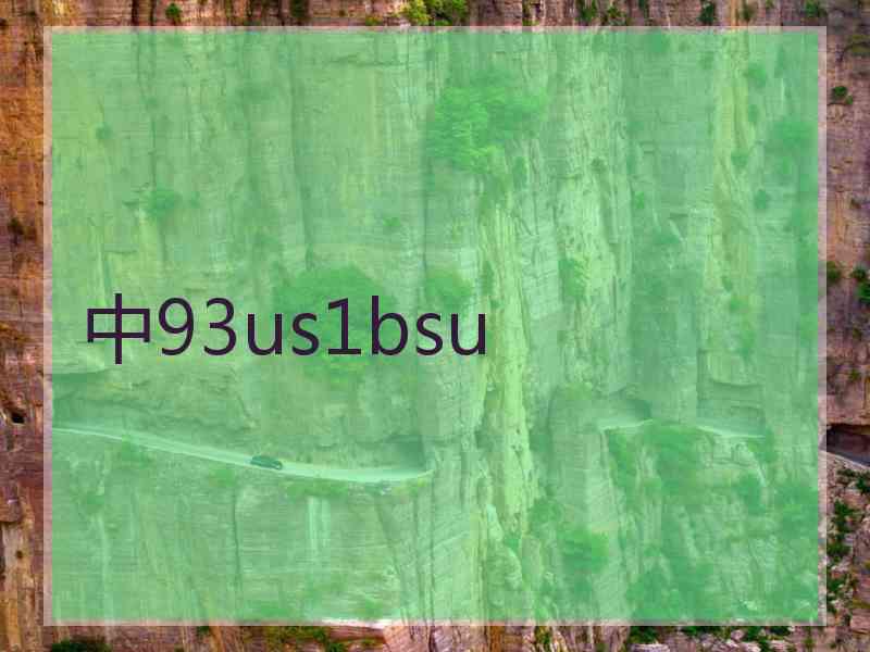 中93us1bsu