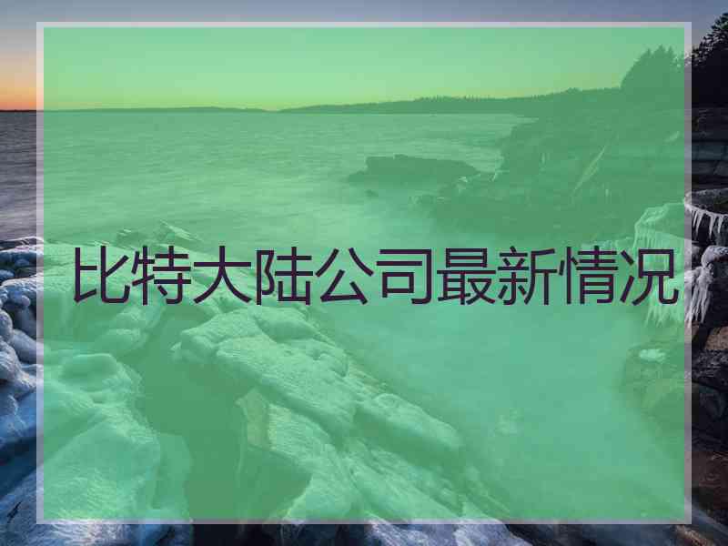 比特大陆公司最新情况
