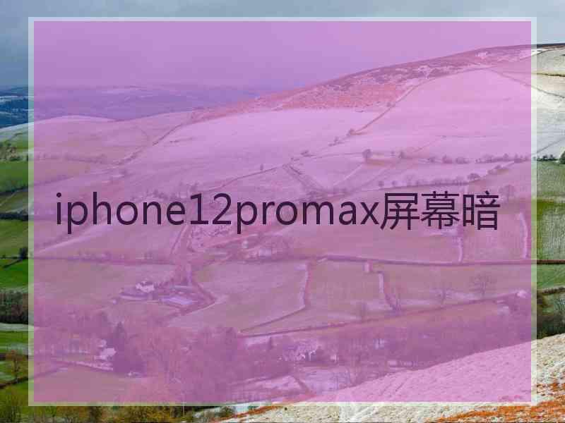 iphone12promax屏幕暗