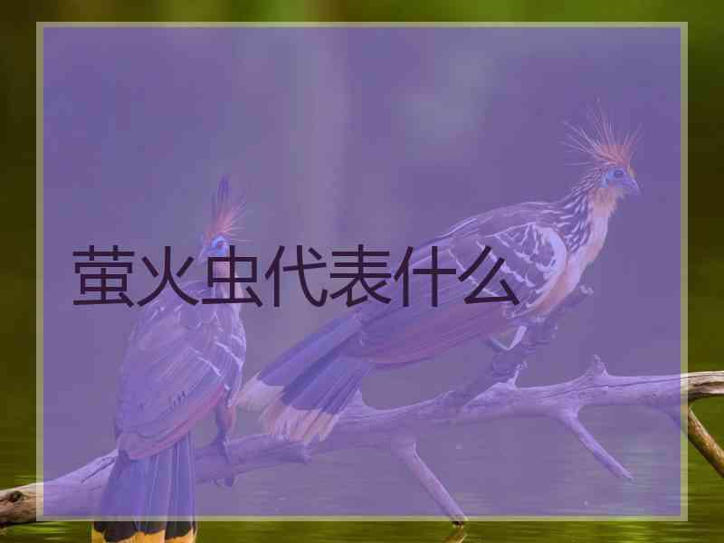 萤火虫代表什么