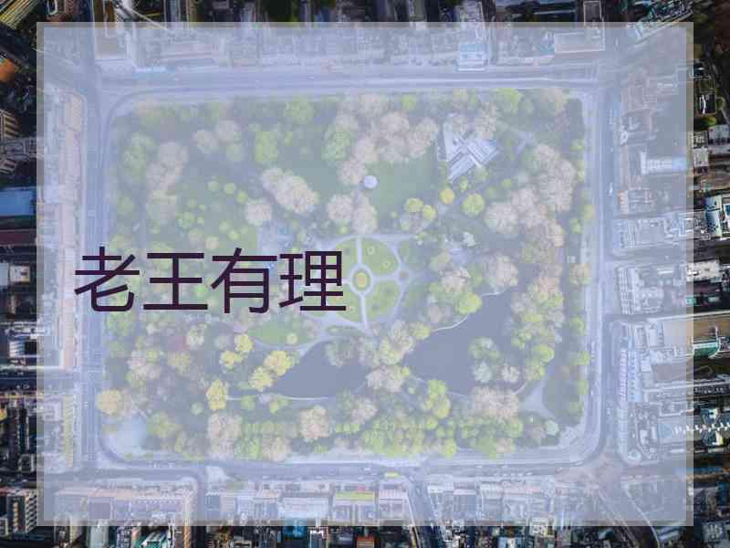 老王有理