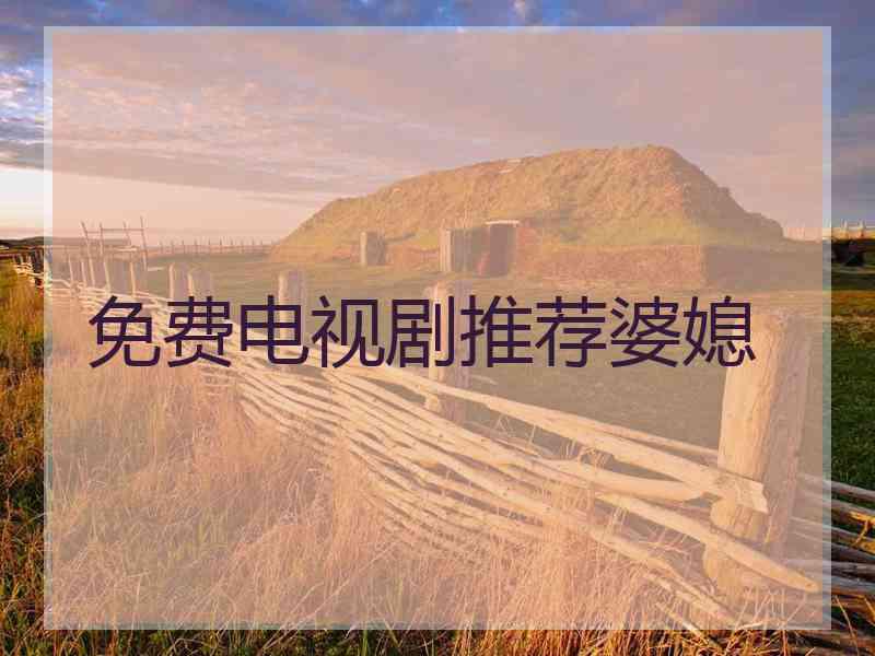 免费电视剧推荐婆媳