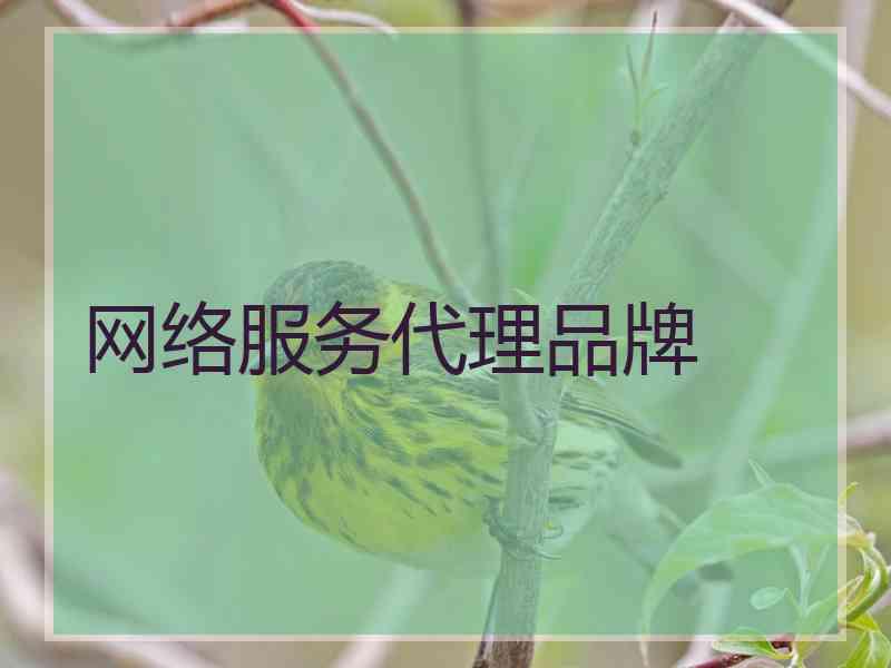 网络服务代理品牌