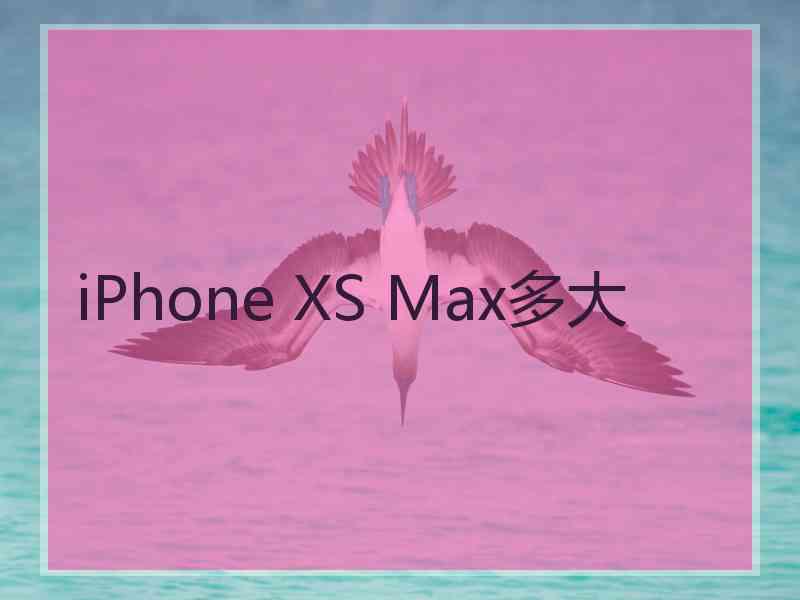 iPhone XS Max多大