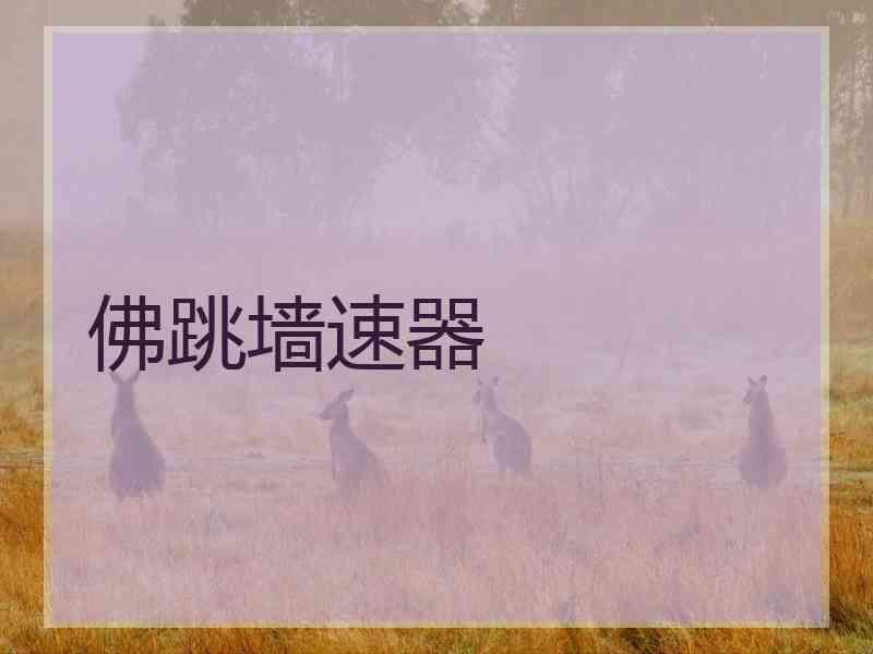 佛跳墙速器