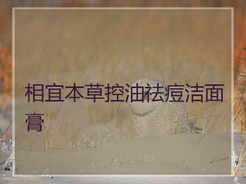 相宜本草控油祛痘洁面膏