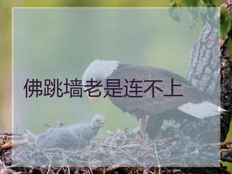 佛跳墙老是连不上