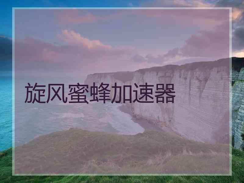 旋风蜜蜂加速器