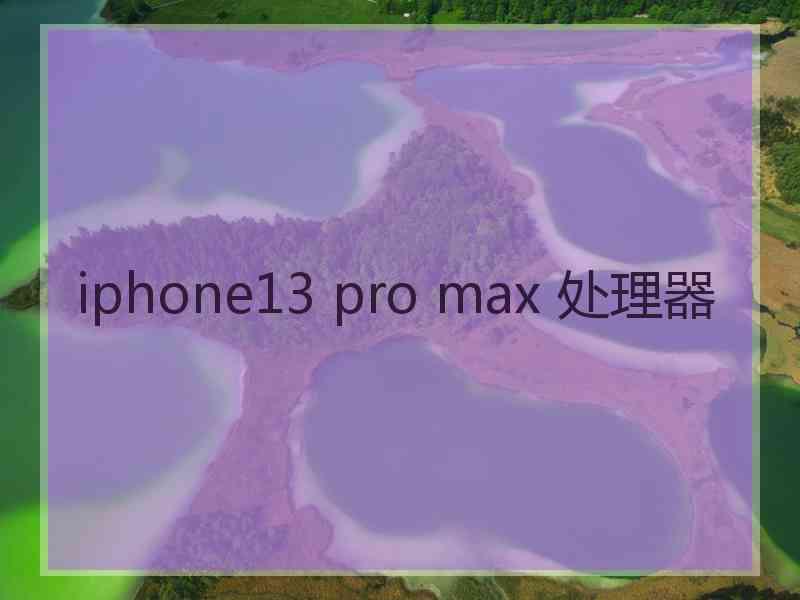 iphone13 pro max 处理器