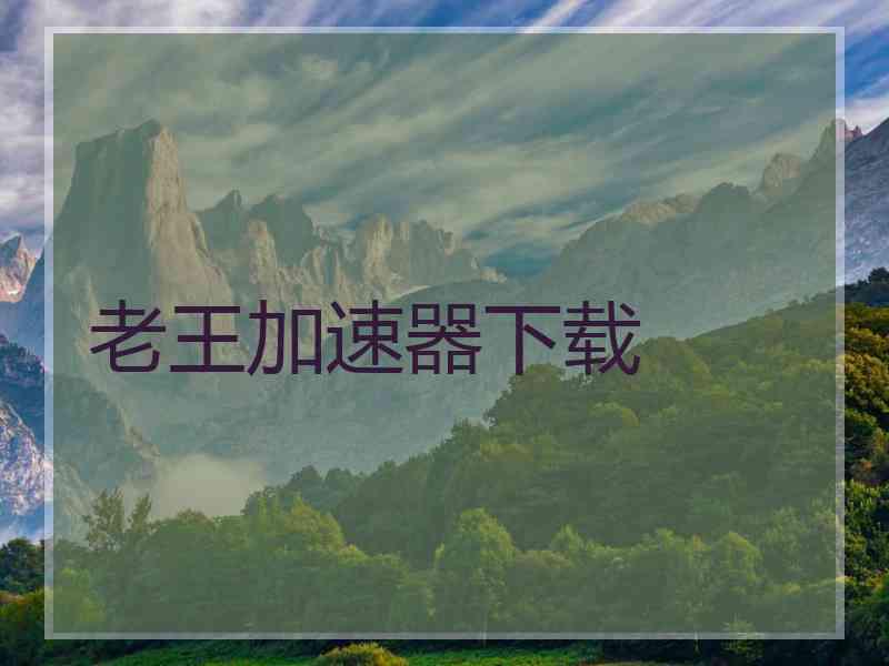 老王加速器下载