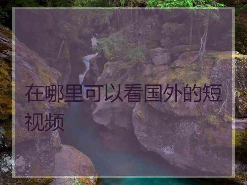在哪里可以看国外的短视频