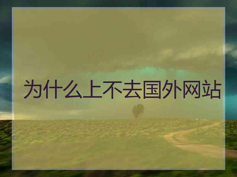 为什么上不去国外网站