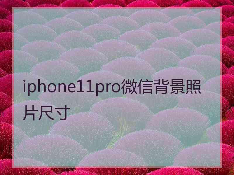 iphone11pro微信背景照片尺寸