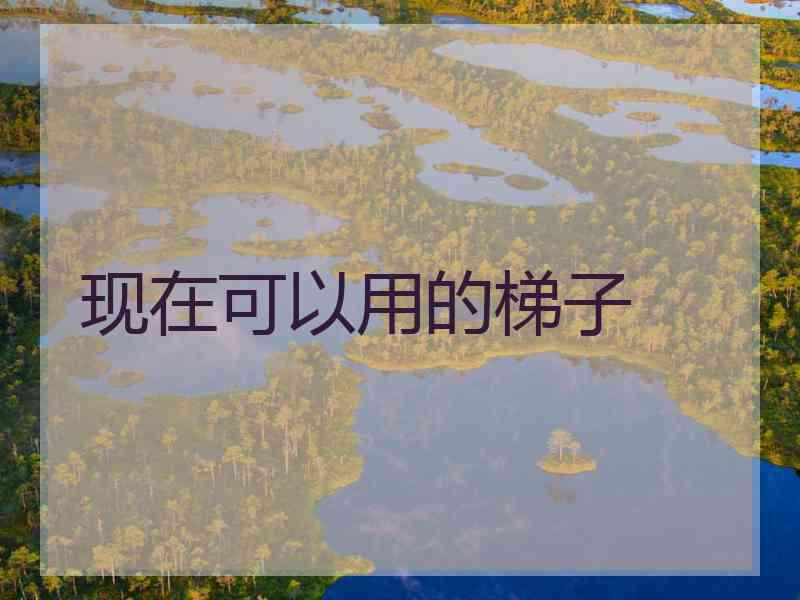 现在可以用的梯子