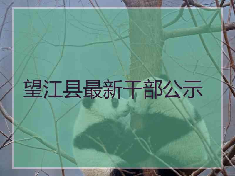 望江县最新干部公示