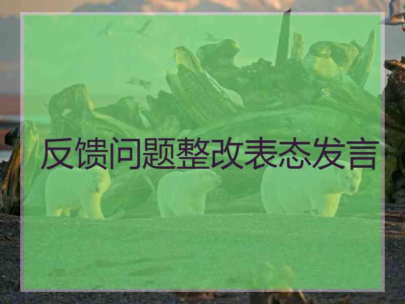 反馈问题整改表态发言