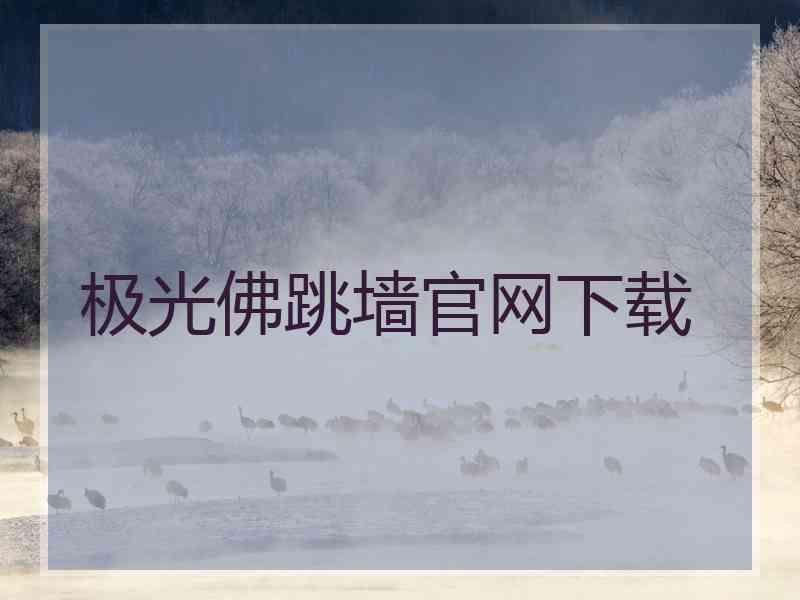 极光佛跳墙官网下载
