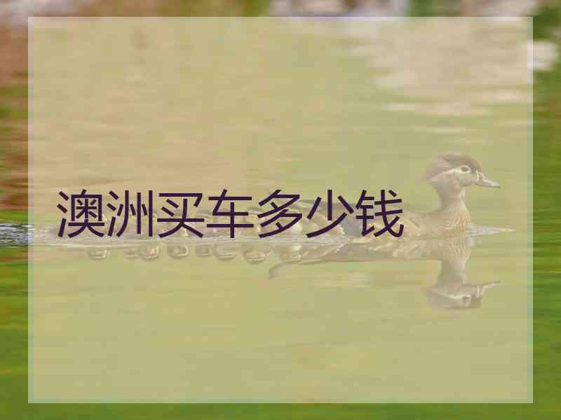 澳洲买车多少钱