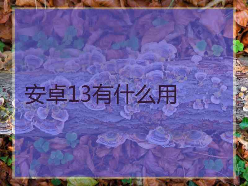 安卓13有什么用