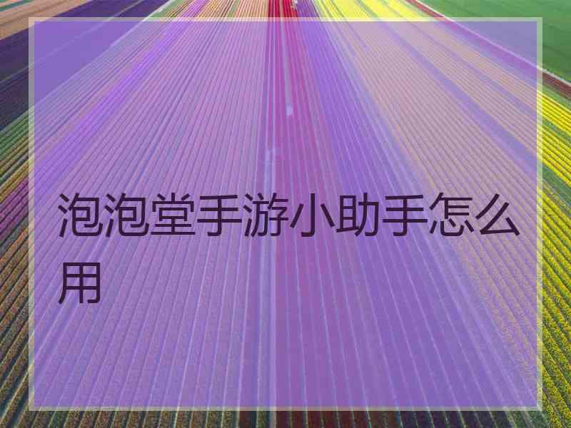 泡泡堂手游小助手怎么用
