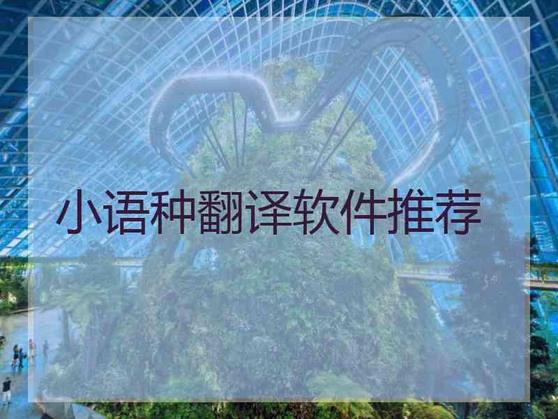 小语种翻译软件推荐