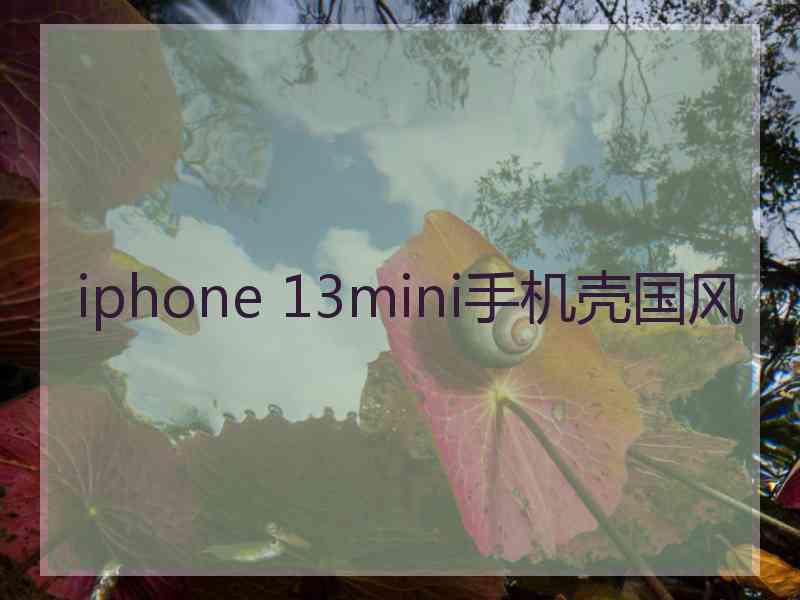 iphone 13mini手机壳国风