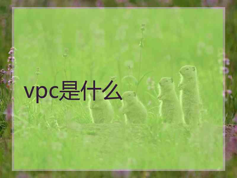 vpc是什么