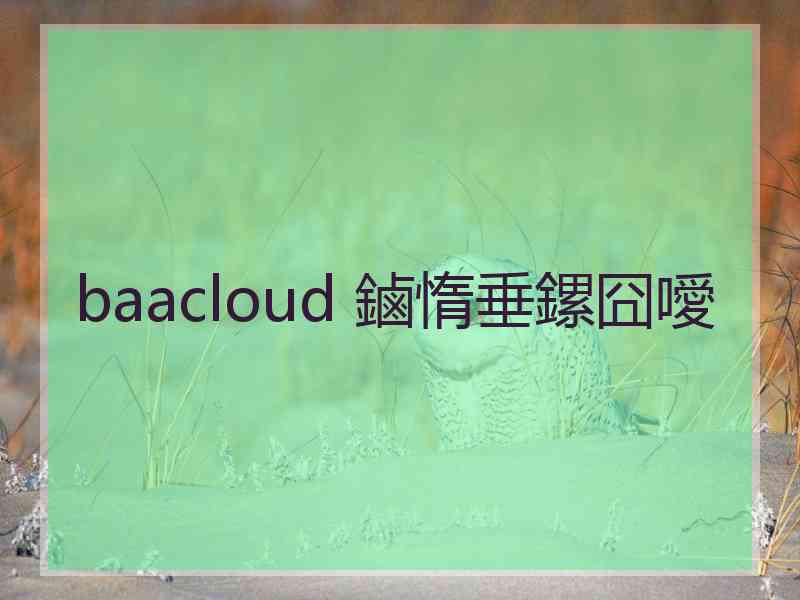 baacloud 鏀惰垂鏍囧噯