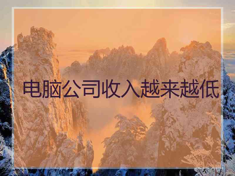 电脑公司收入越来越低