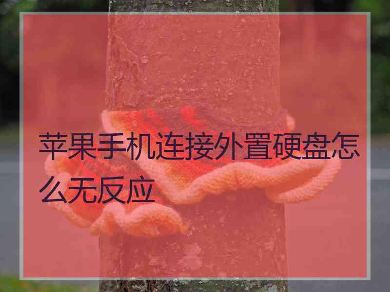 苹果手机连接外置硬盘怎么无反应