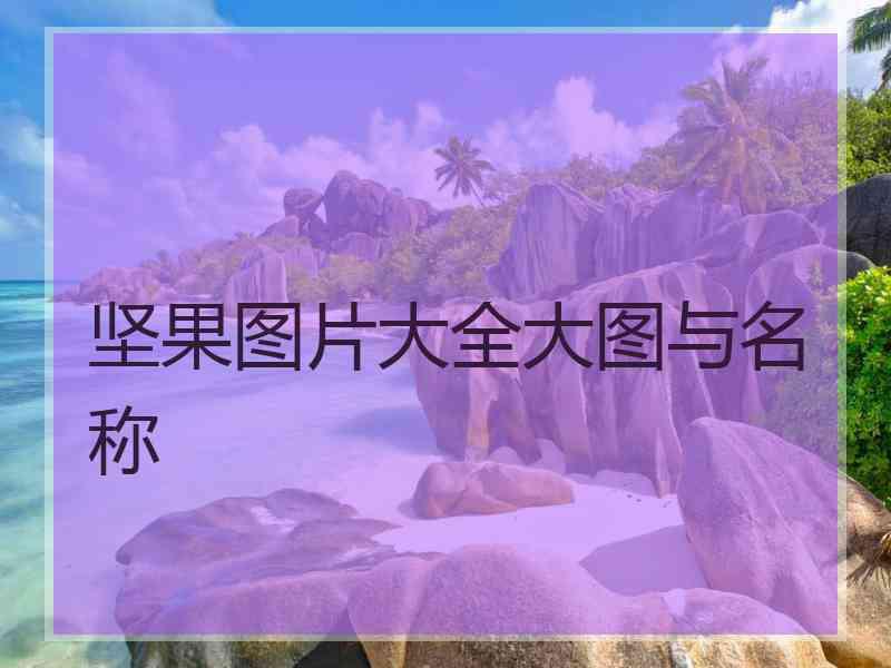 坚果图片大全大图与名称