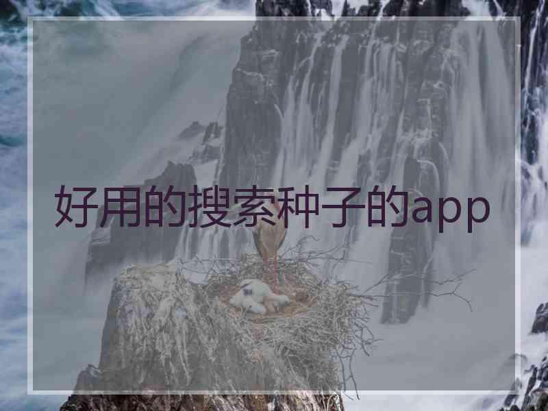 好用的搜索种子的app