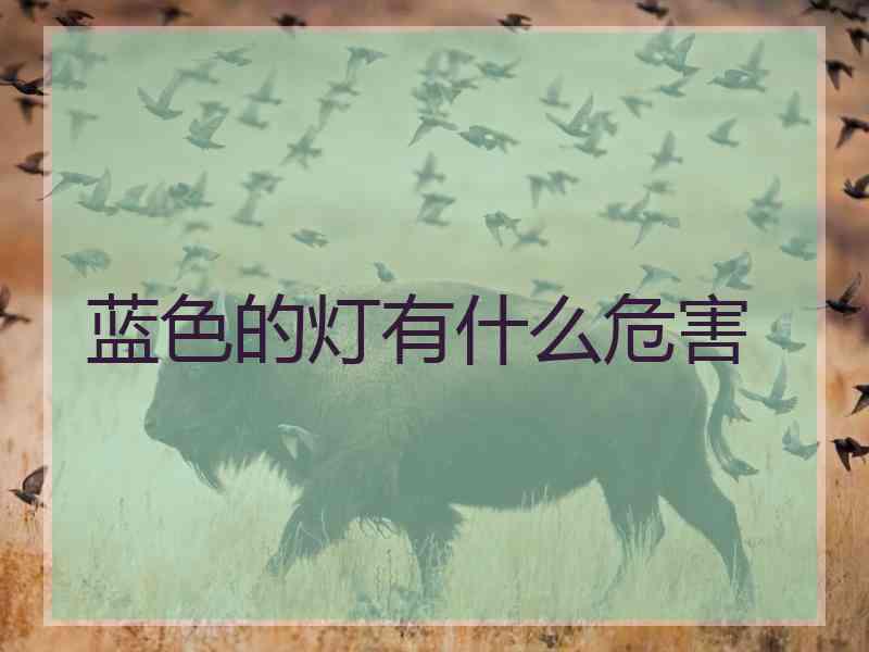 蓝色的灯有什么危害