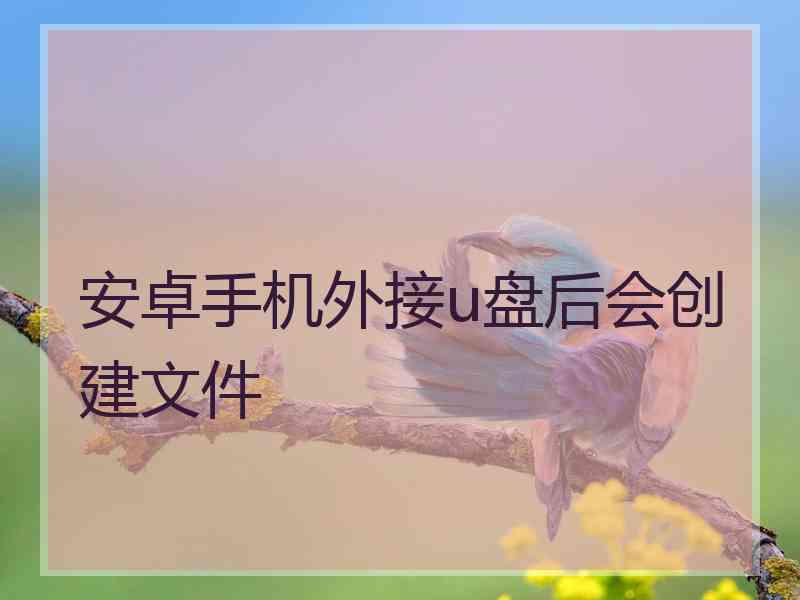 安卓手机外接u盘后会创建文件