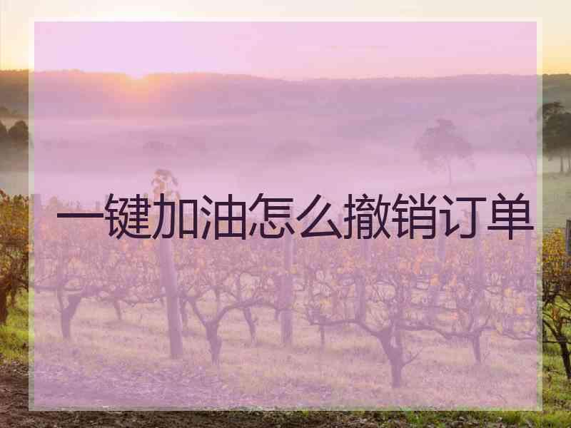 一键加油怎么撤销订单