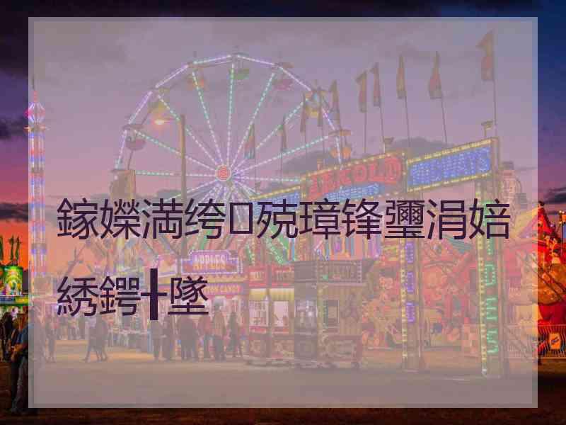 鎵嬫満绔殑璋锋瓕涓婄綉鍔╂墜