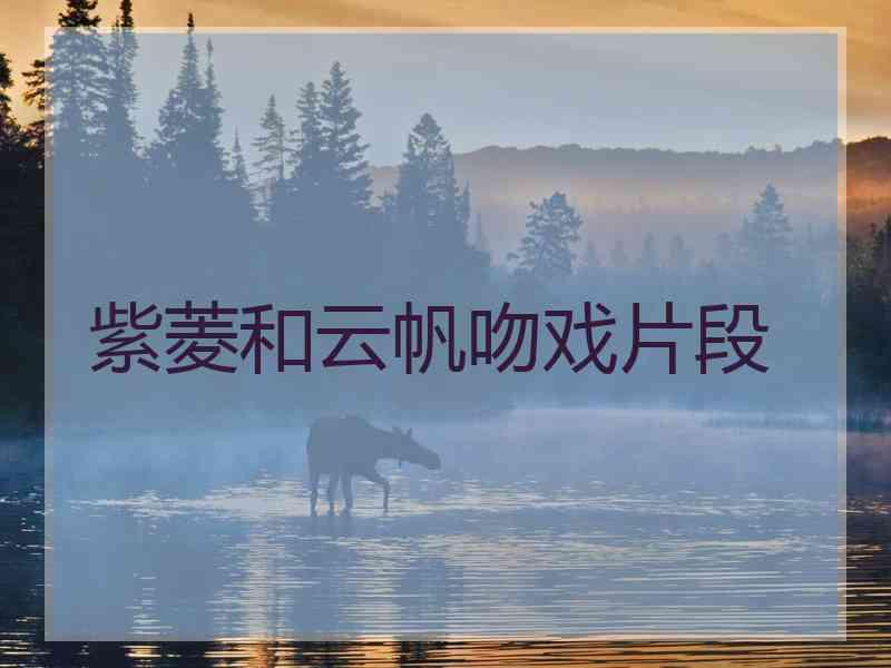 紫菱和云帆吻戏片段
