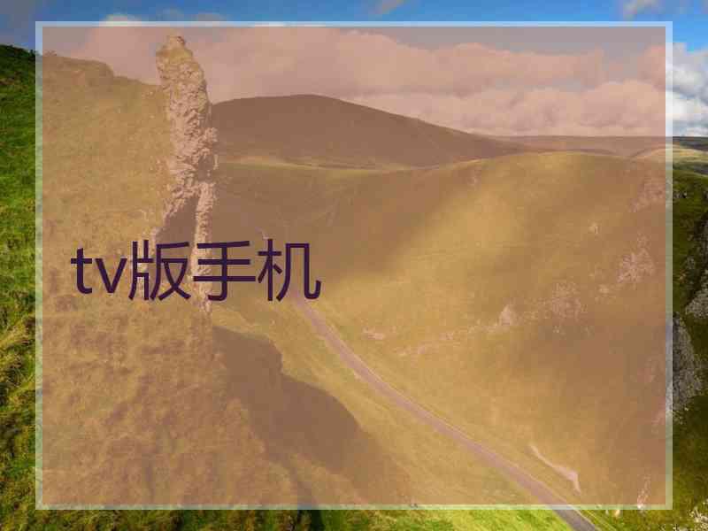 tv版手机