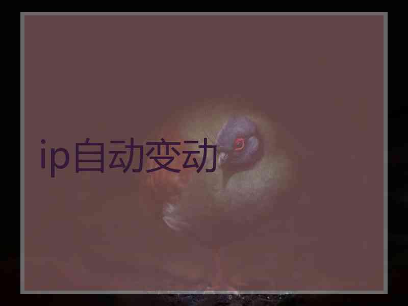 ip自动变动