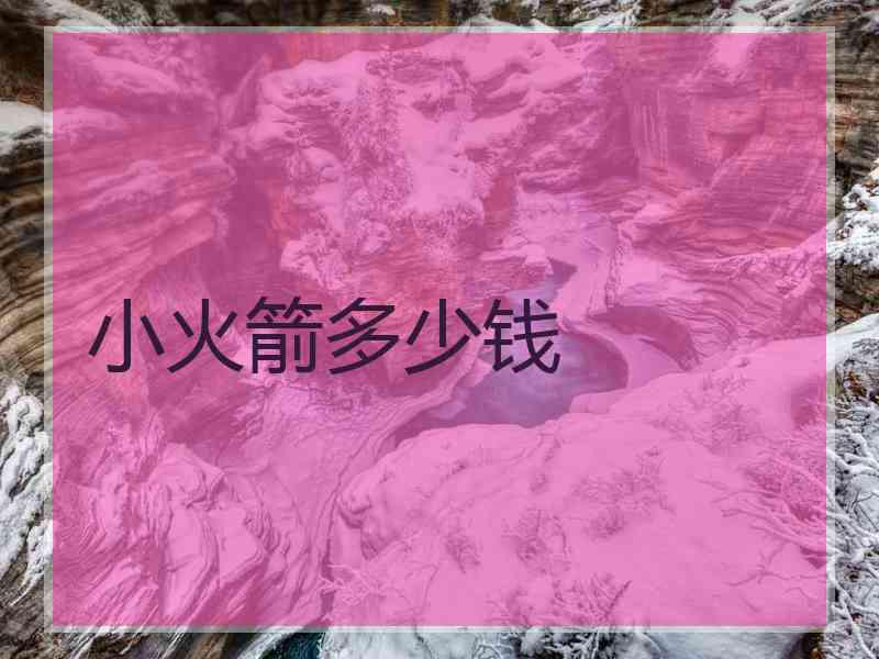 小火箭多少钱