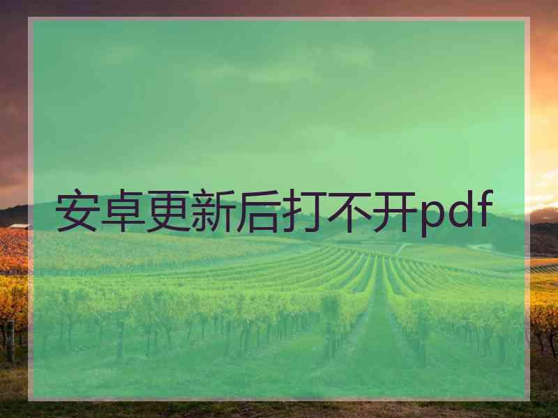 安卓更新后打不开pdf
