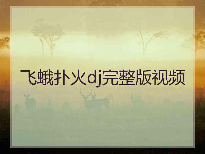 飞蛾扑火dj完整版视频