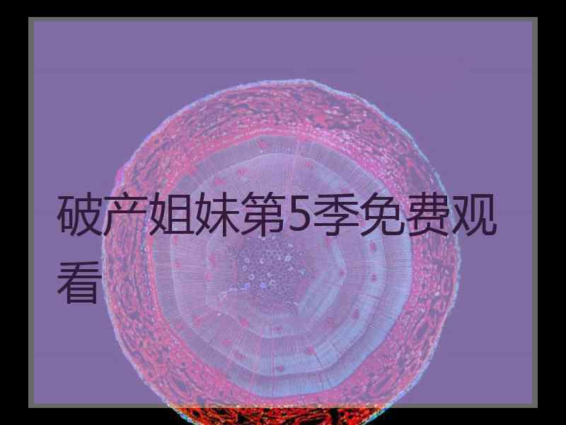 破产姐妹第5季免费观看