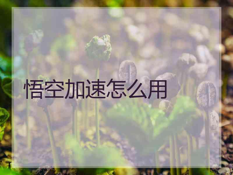 悟空加速怎么用